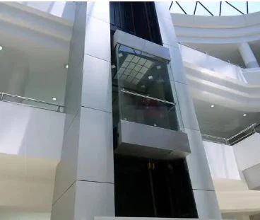 Sightseeing Passenger Elevator